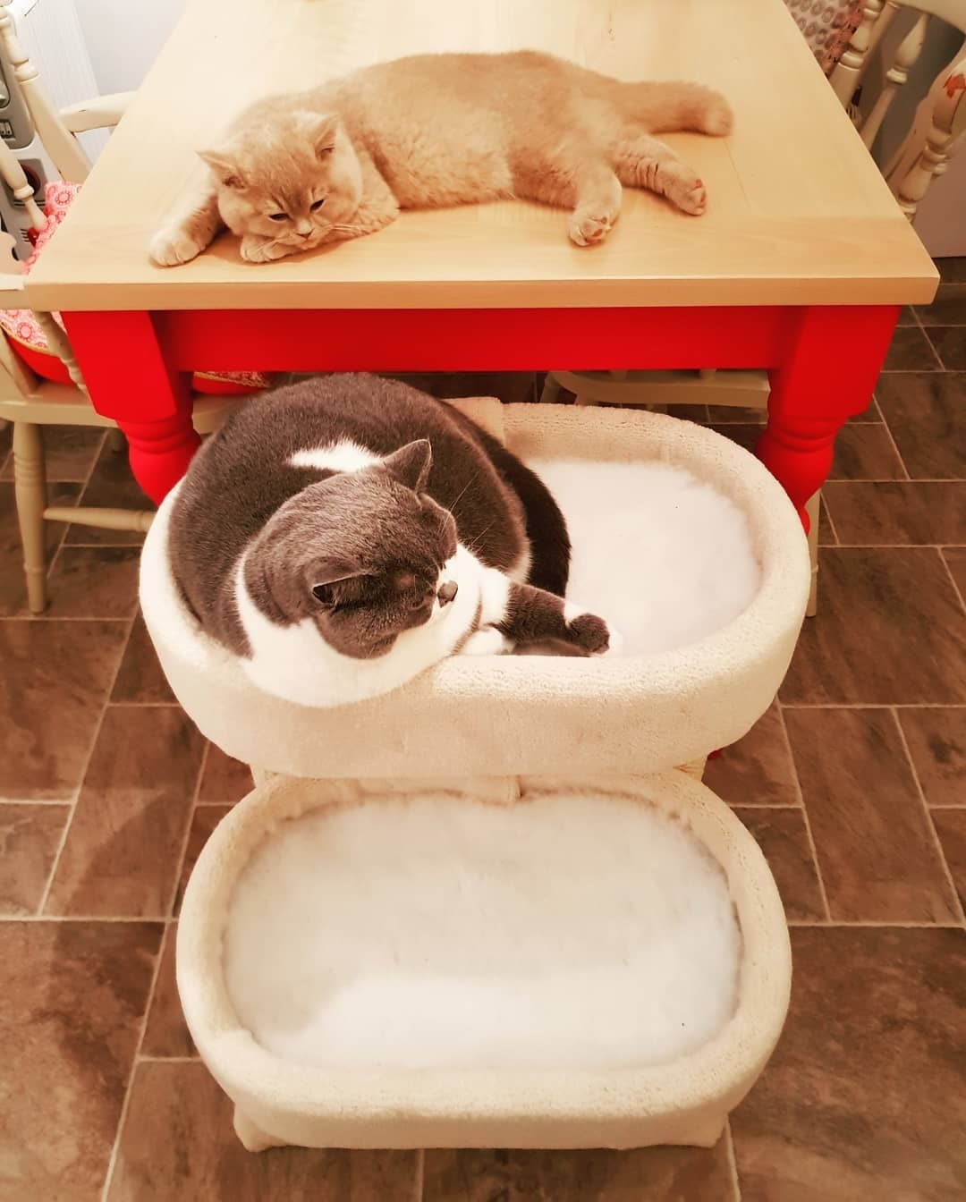 Кто-то считает, что использование столь сильных раздражителей – самый крайний способ, который нужно применять только в том случае, если больше нет никаких других вариантов. Это как раз та...