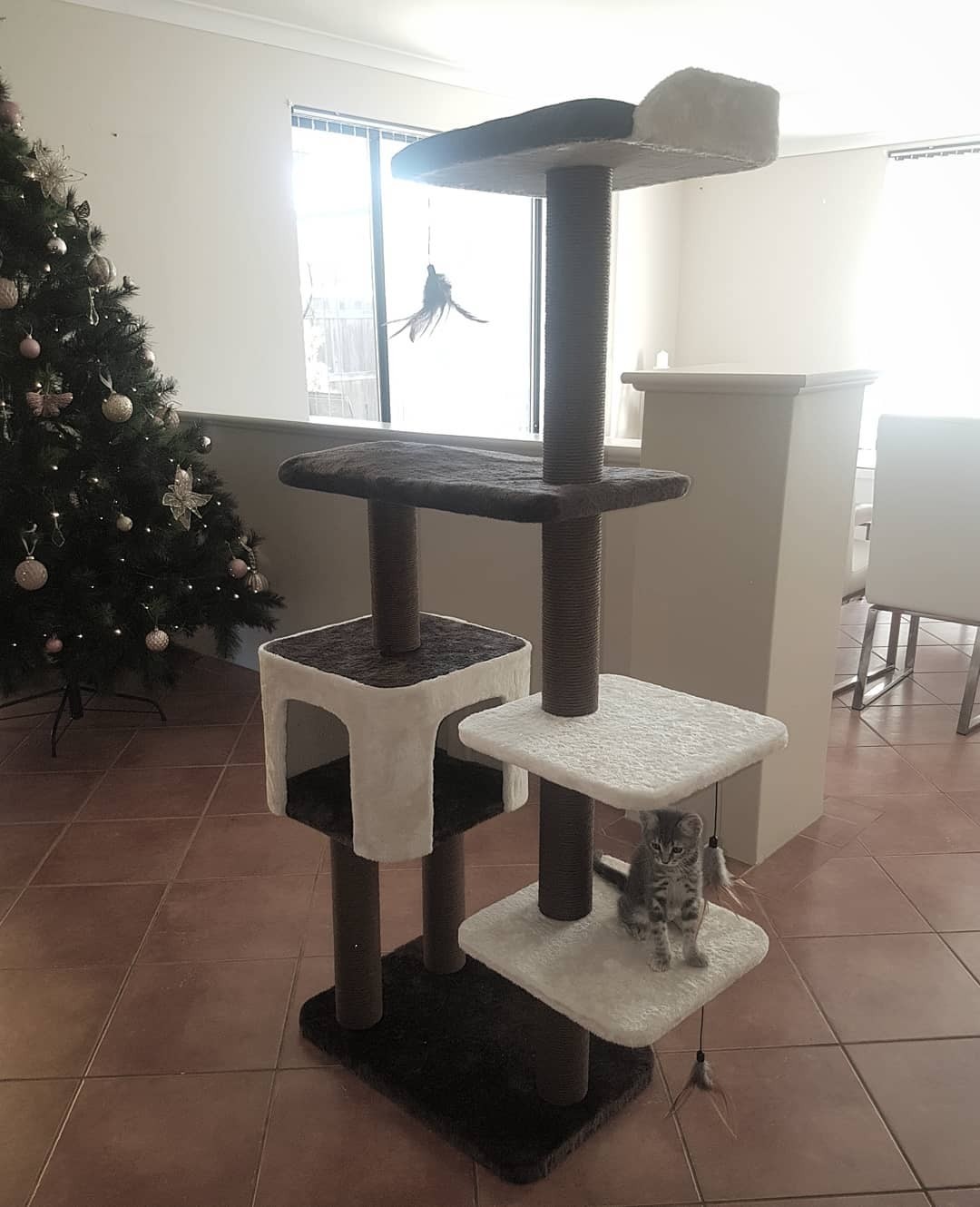 Да, это значительно дороже, чем обычная когтеточка, но кошка, скорее всего, с энтузиазмом воспримет твою покупку и заберется в домик, следуя инстинктам (особенно если внутри лежит что-то...