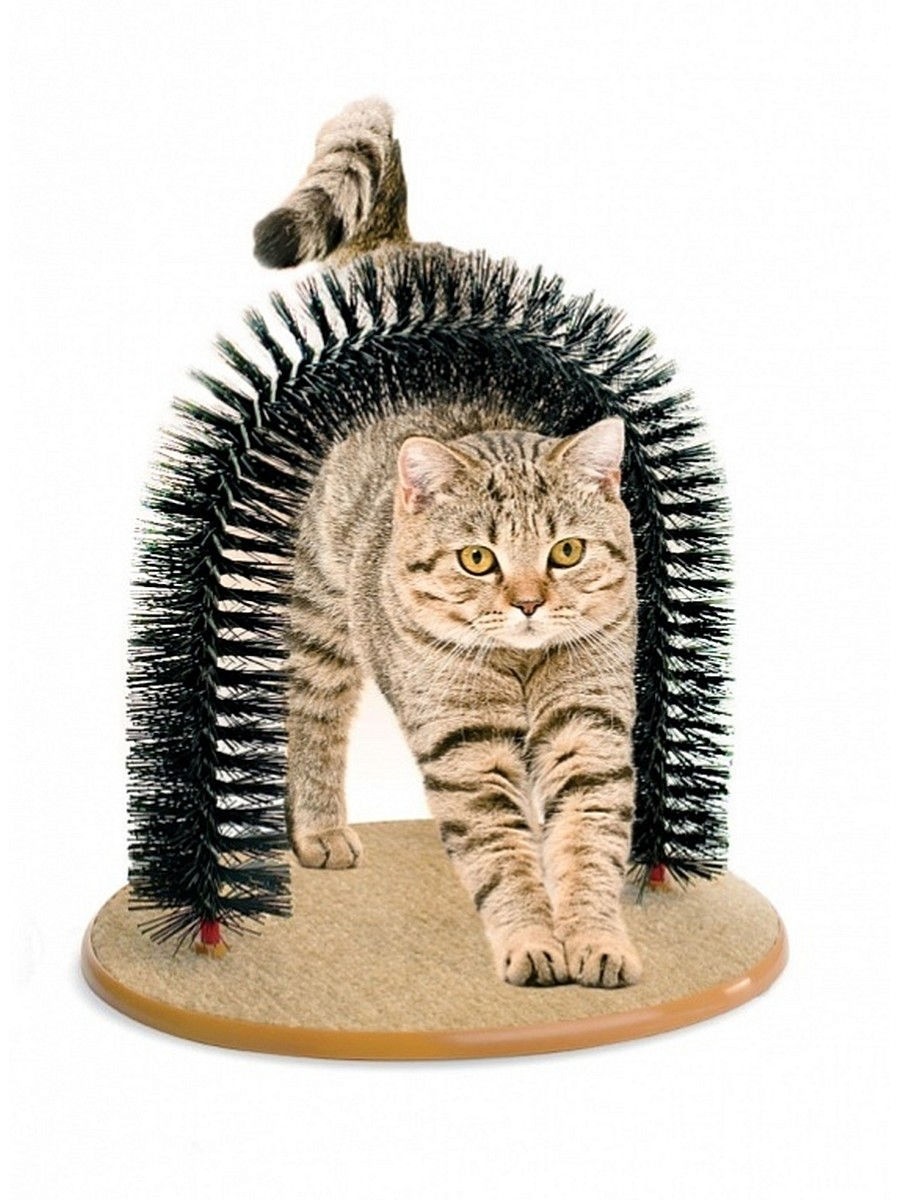 Специально для тех, кого нужно заманивать только ласками. Когтеточка «Кошачье удовольствие» продается в комплекте с пакетиком кошачьей мяты, но можешь попробовать приучить животное и без...