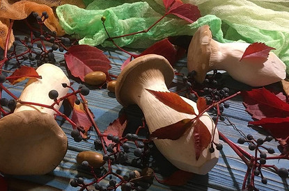 Как выращивать белые грибы в домашних условиях