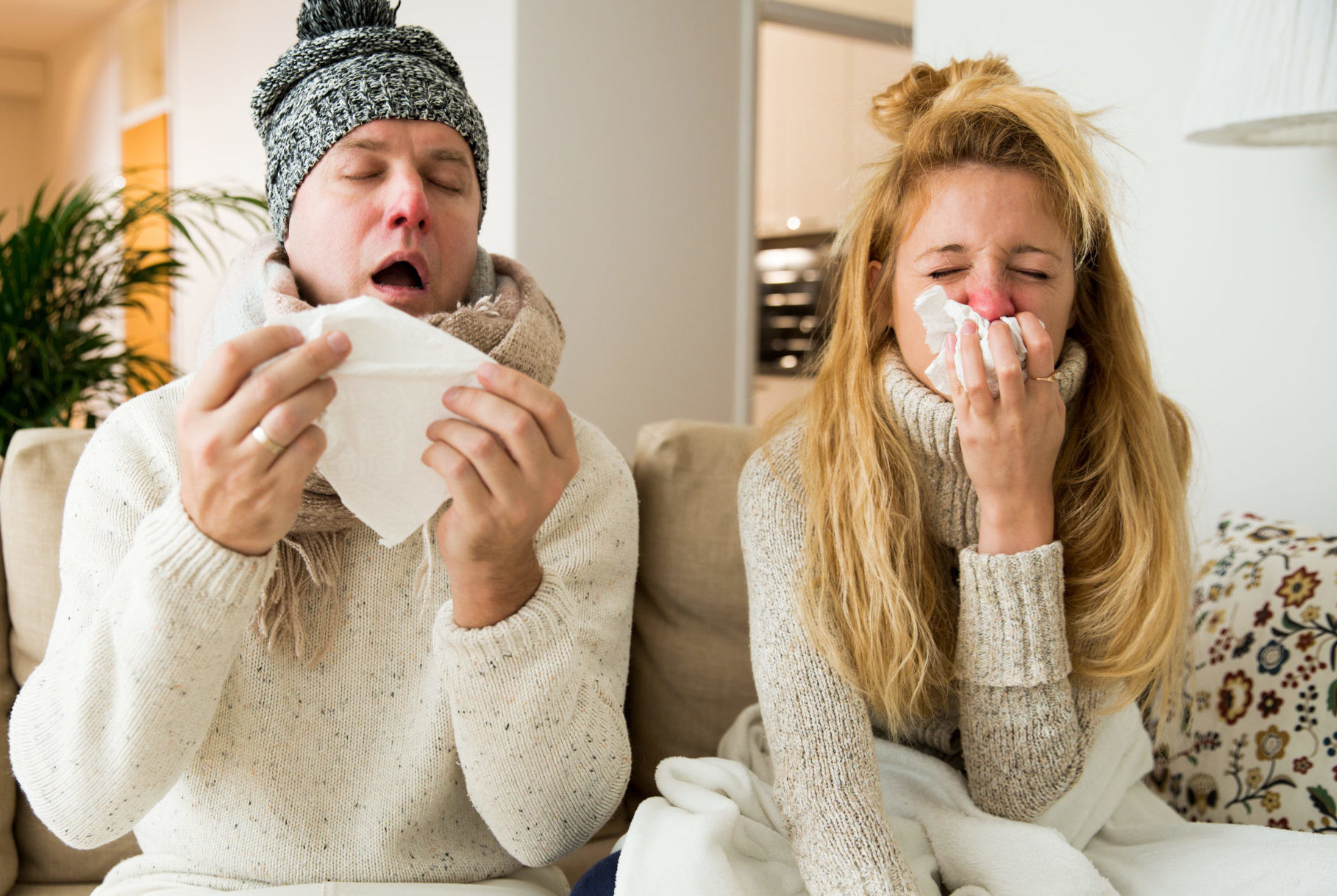 Дорого болеть: как предупредить грипп и ОРВИ