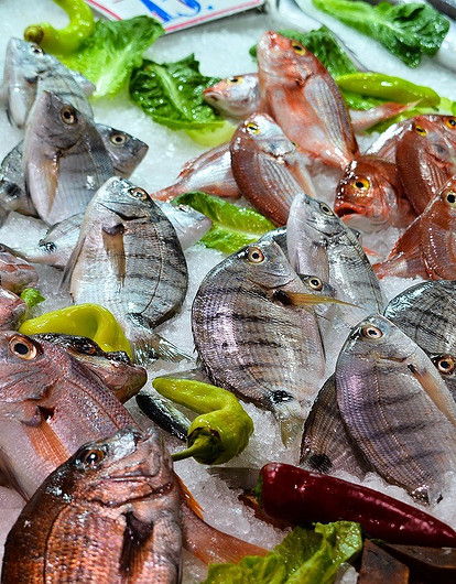 3 самых полезных свойства рыбы (и список лучших сортов)