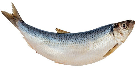 Полноценная замена красной рыбе (ценному источнику кислот омега-3) – обычная селедка. 85 г селедки содержит почти 150% суточной нормы витамина D и более 100% омега-3. Чтобы уменьшить коли...