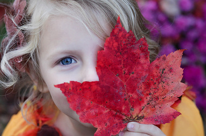 4 научно обоснованных способа повысить интеллект ребенка