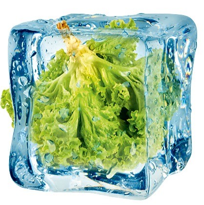 Отличный способ хранения зелени, если не сказать больше – самый полезный. Вся зелень, хранящаяся в морозильной камере, сохраняет полный набор витаминов. Кроме того, метод заготовки подойд...