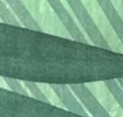 Дима Билан дал отпор Елене Миро, назвавшей его мозг «стиральным порошком»