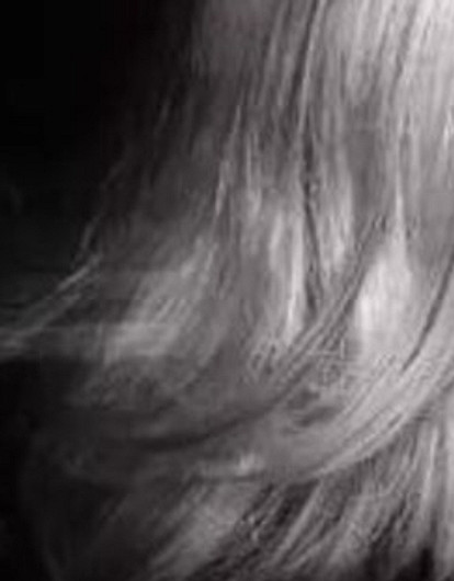 Мадонна может выступить на «Евровидении – 2019»