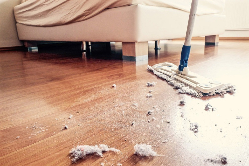 Вечный вопрос: как избавиться от пыли в квартире надолго?