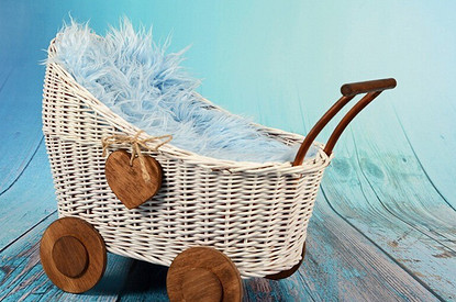 Лучшие прогулочные коляски для зимы: сравниваем разные модели