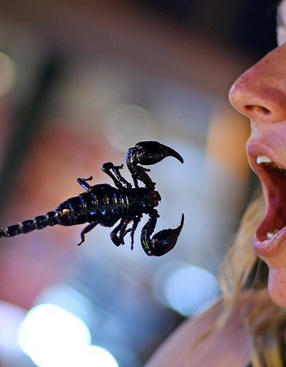 9 причин, почему ехать на другой конец света – не лучшая идея