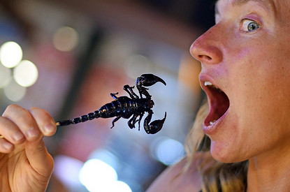 9 причин, почему ехать на другой конец света – не лучшая идея