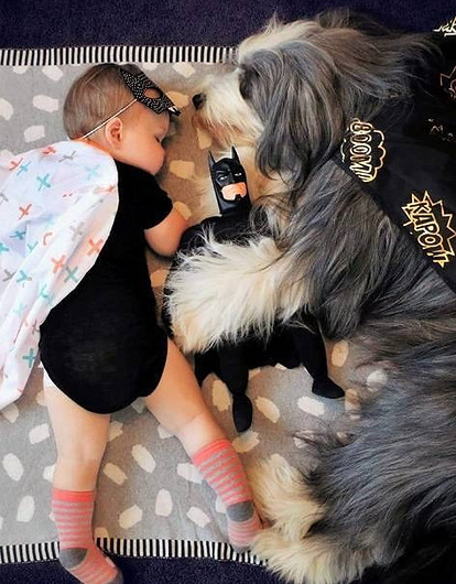 У ребенка не получается подружиться с собакой: советы пользователей соцсетей