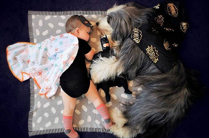 У ребенка не получается подружиться с собакой: советы пользователей соцсетей