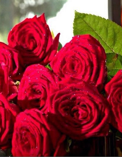 СМИ: стало известно, кто станет новым «Холостяком» (это не Гуф)