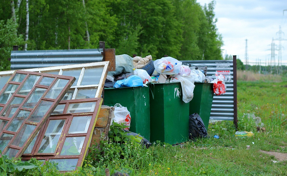 Разделяй и властвуй: как правильно сортировать мусор дома