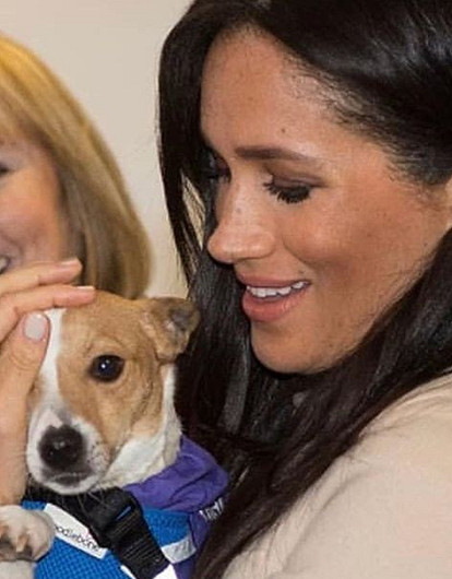 Меган Маркл опубликовала фото, где она беременная играется с собакой