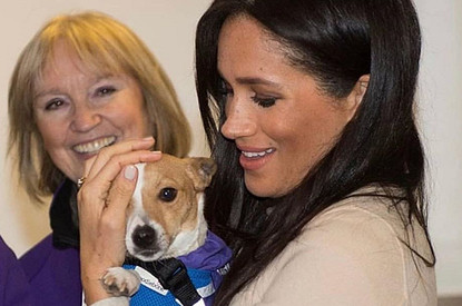 Меган Маркл опубликовала фото, где она беременная играется с собакой