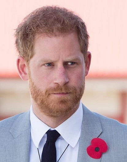 Принц Гарри призвал окружающих к ответственности перед будущими поколениями