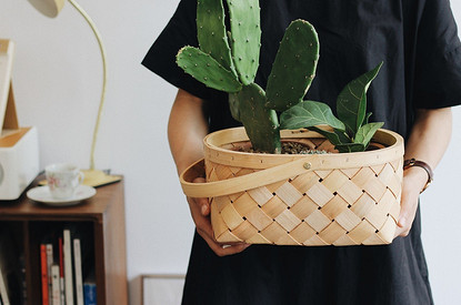 Вот почему ты не замужем: 7 растений, которые не дают тебе устроить личную жизнь