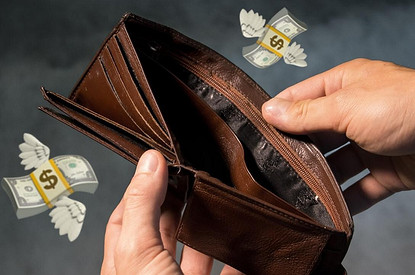 Чтобы всегда водились деньги: инструкция по выбору кошелька богатства