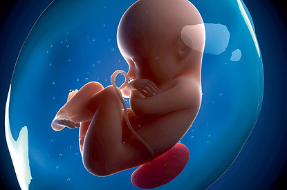 4 вопроса о плаценте, которые ты хотела задать