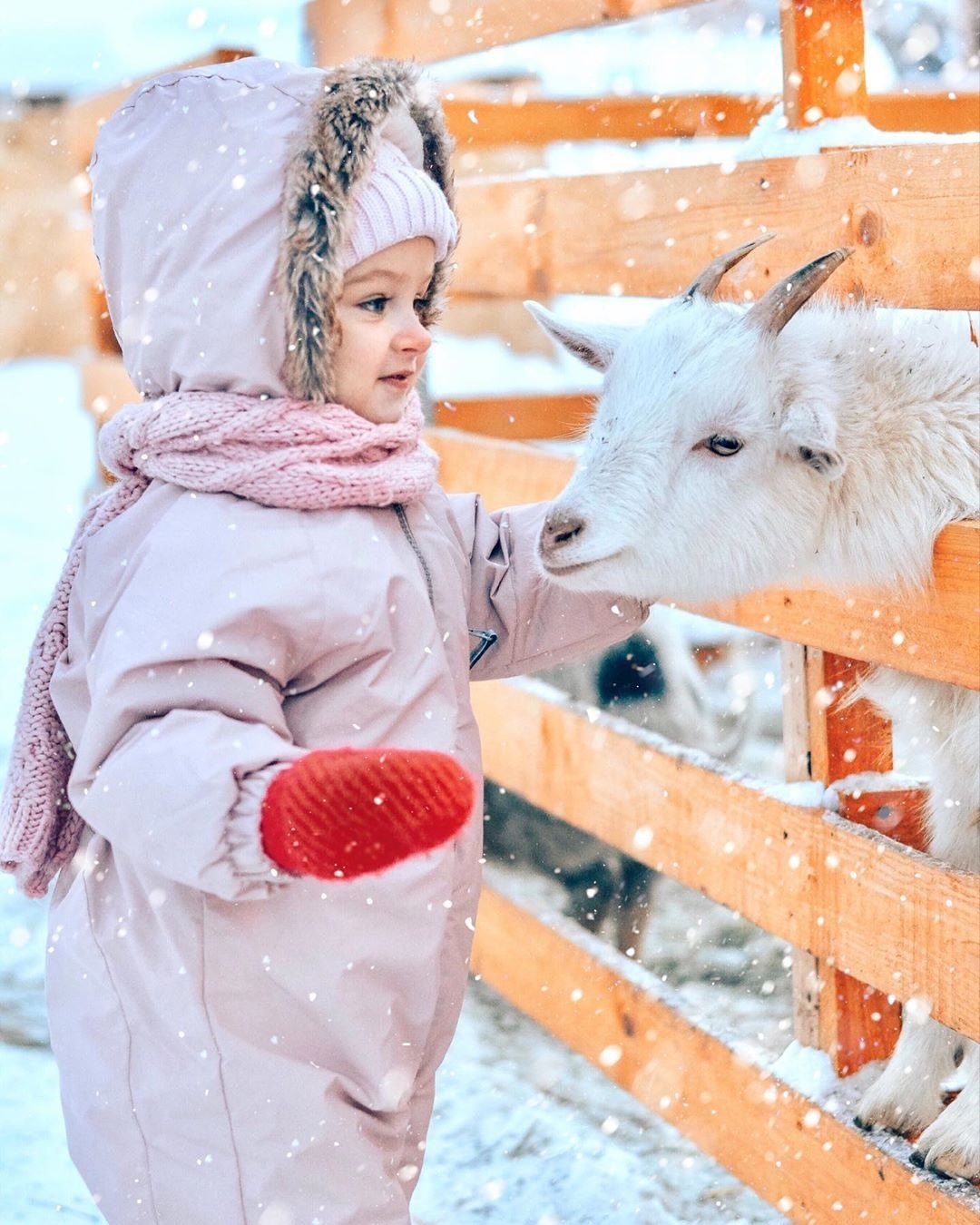 Рожденные в холода. В чем выписывать ребенка из роддома зимой? | Lifestyle  | Селдон Новости