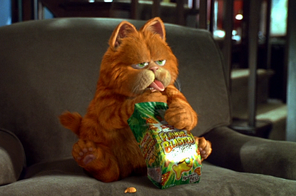 Тест: какая ты кошка?