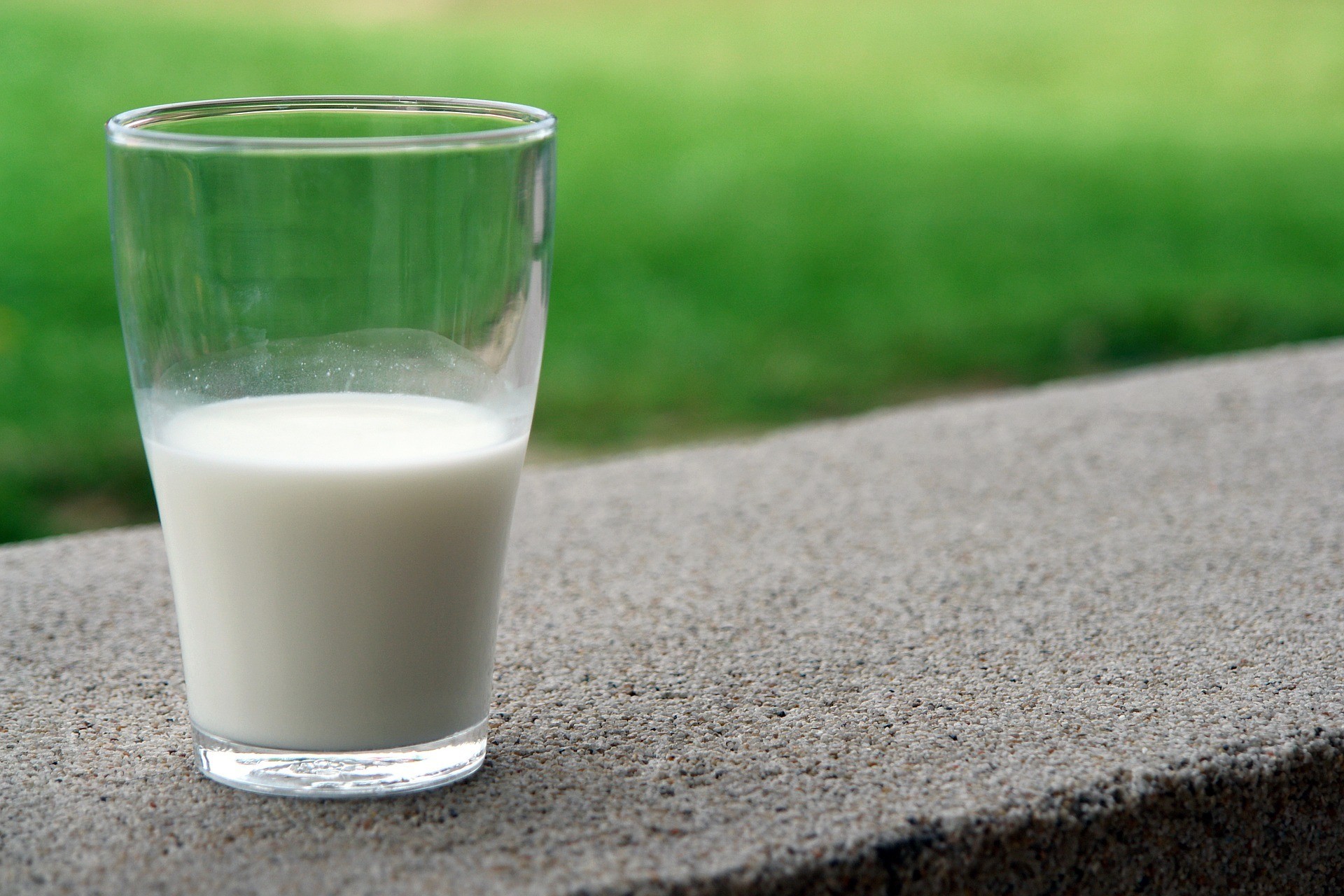 Отличный способ сэкономить: молочная кухня 2019