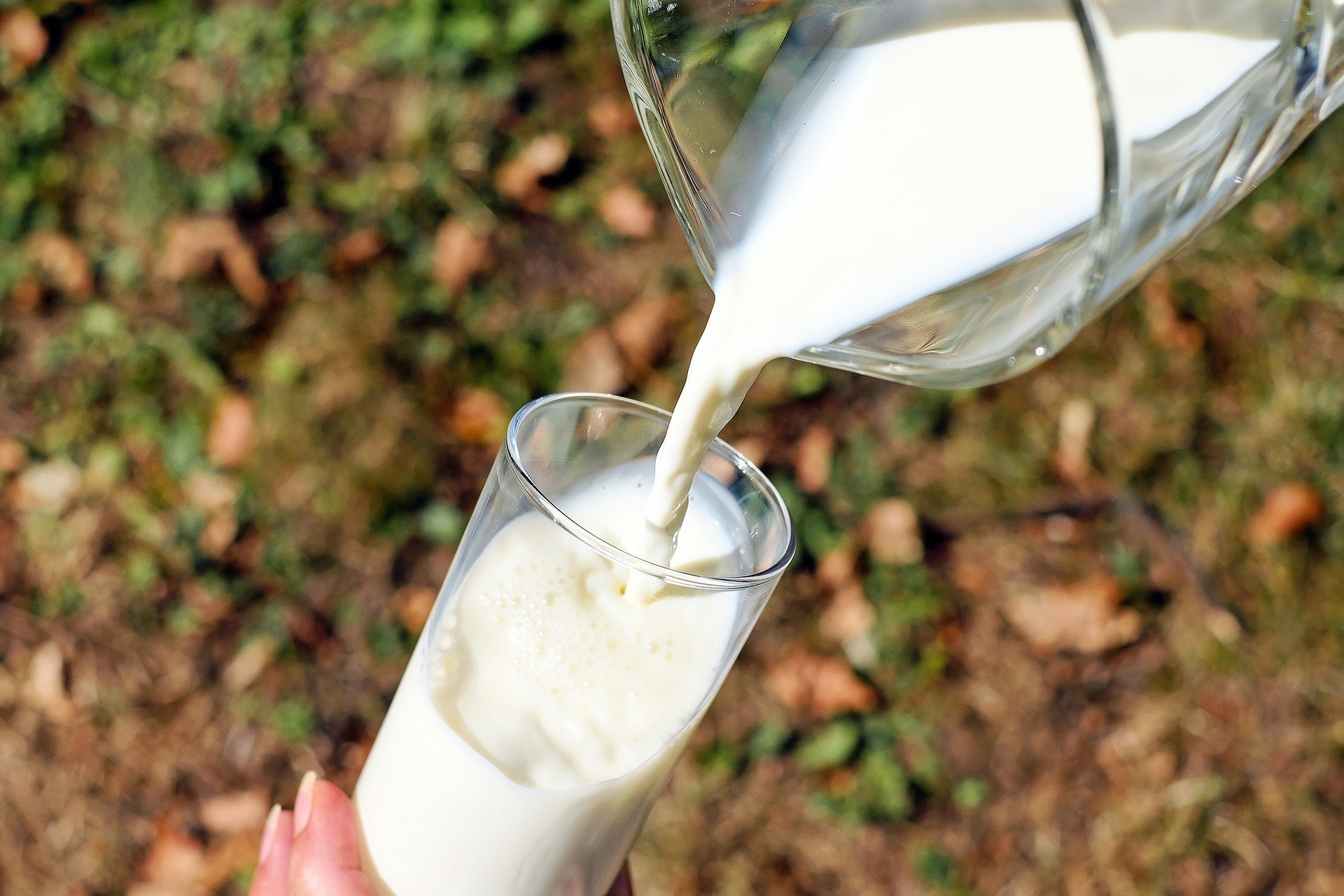 Отличный способ сэкономить: молочная кухня 2019
