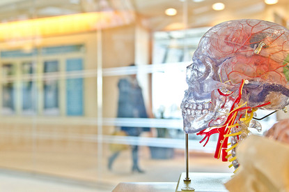 Кислородное голодание мозга: симптомы и лечение