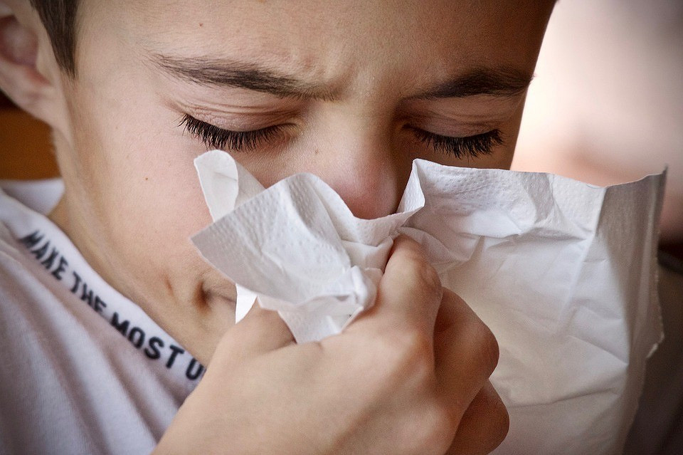 Аллергия на пыльцу: симптомы, лечение и профилактика