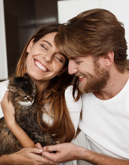 Источник здесь и далее: ShutterStock/Fotodom