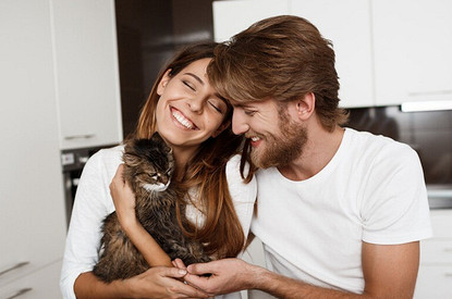 Источник здесь и далее: ShutterStock/Fotodom