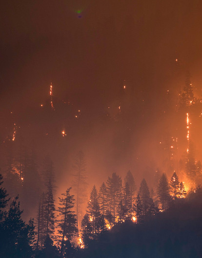 Пожарная безопасность: что нужно знать детям, чтобы они не зевали