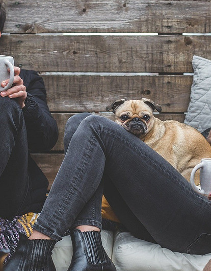 20 фильмов, которые приятно посмотреть в постели с любимым