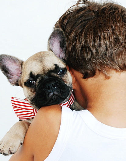 9 причин, почему твоему ребенку нужно домашнее животное