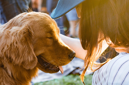 Домашние животные по знаку зодиака: как выбрать свое