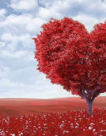 12 мелочей, которые доказывают, что он серьезно относится к вашим отношениям