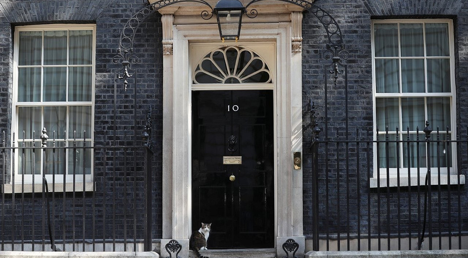 Британцы после отставки Терезы Мэй предложили сделать премьер-министром страны кота Ларри