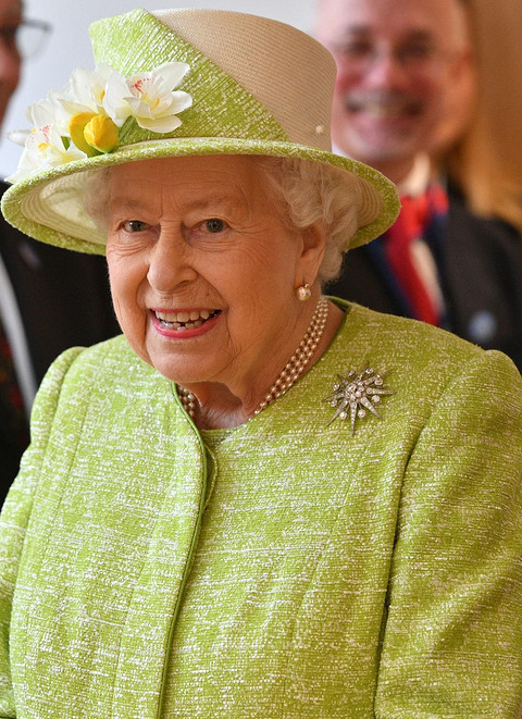 «Звезду Жардин» Елизавете II в 1981 году подарила одна из ее придворных дам — леди Жардин. Изначально королева носила эту брошь очень редко, однако в последние несколько лет на различных...