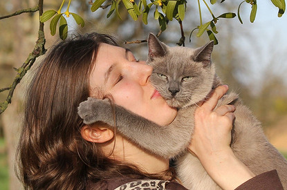 Бешенство у человека: почему лиса на даче — это не мило, а страшно