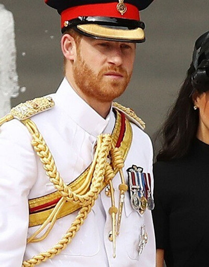 Меган Маркл и принц Гарри отписались от всех родственников в Instagram