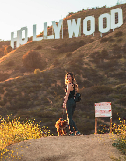 4 знака зодиака, которые чаще других становятся знаменитыми