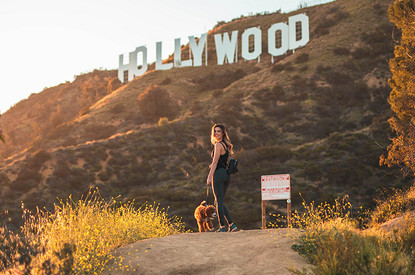 4 знака зодиака, которые чаще других становятся знаменитыми