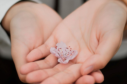 Дисгидроз кистей рук: причины и лечение