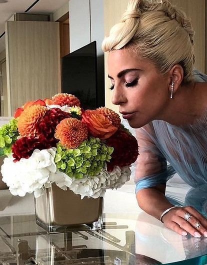 Леди Гага прокомментировала разрыв Ирины Шейк и Брэдли Купера