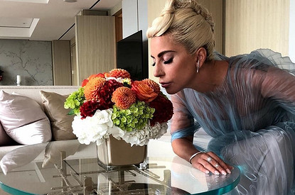 Леди Гага прокомментировала разрыв Ирины Шейк и Брэдли Купера