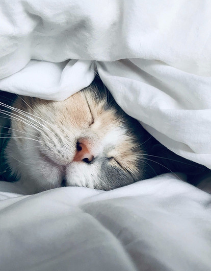 Знаки зодиака, которые отлынивают от работы (и как с этим справиться)