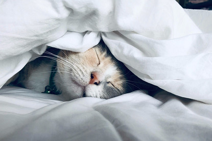 Знаки зодиака, которые отлынивают от работы (и как с этим справиться)