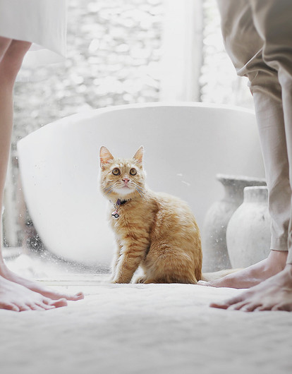 Знаки зодиака, которым нужно бояться развода